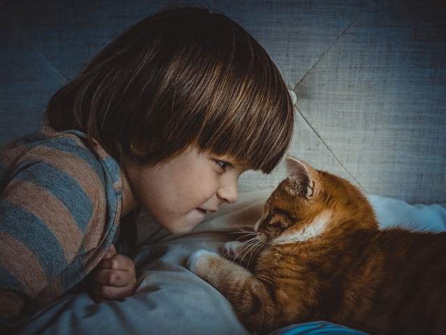 Au intotdeauna grija de copii