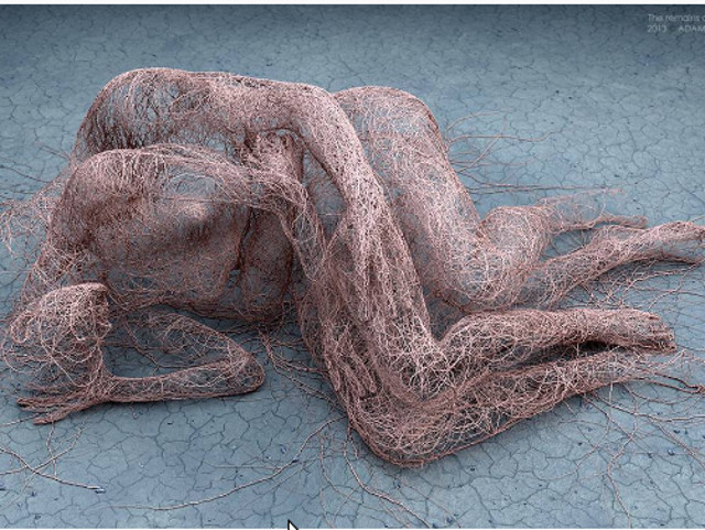 "The Remains of a Memory"