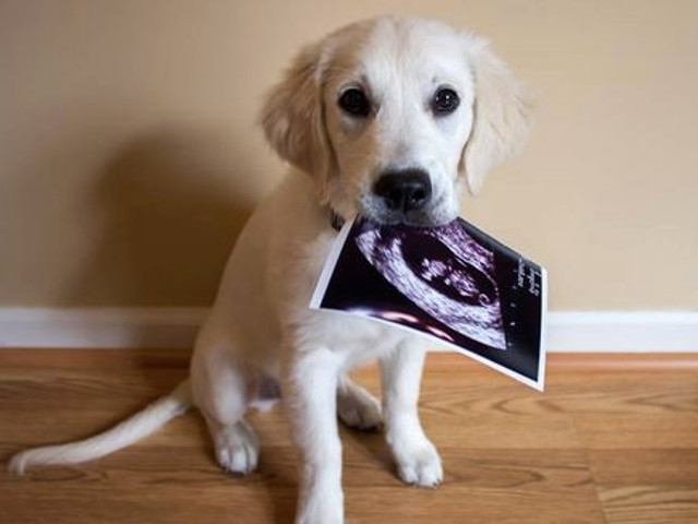 Inceputurile prieteniei