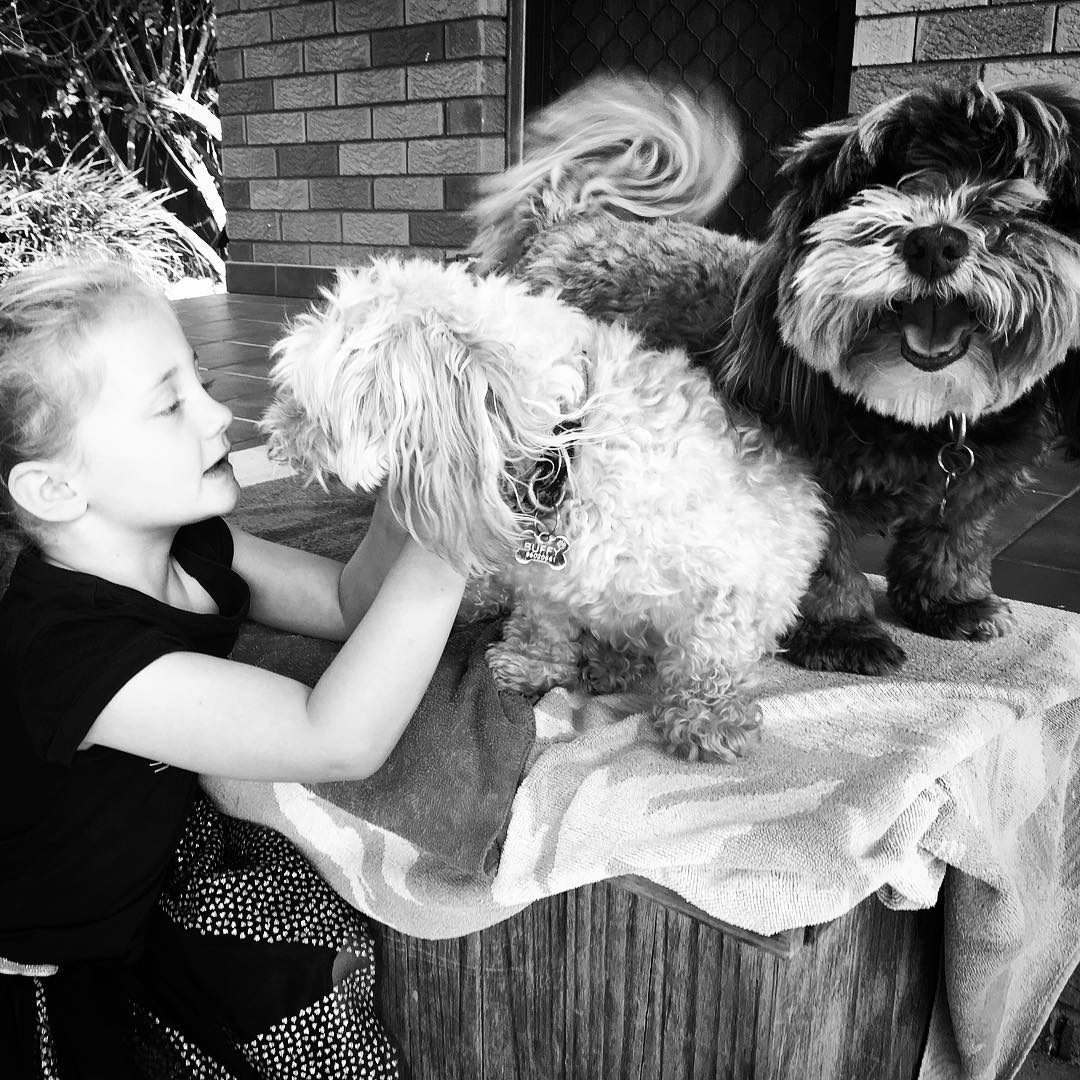 Doi prieteni de nadejde