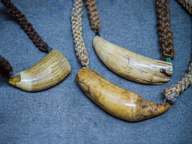 Colier din dinte de balena