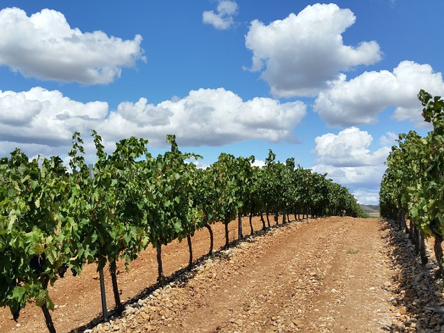 La Rioja, Spania