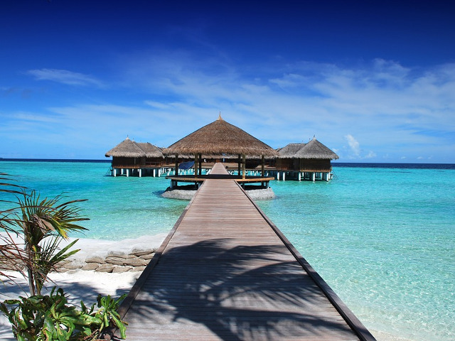 Maldive