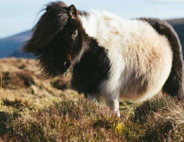 Nici macar o adiere de vant nu mai are puterea de a schimba starea de spirit