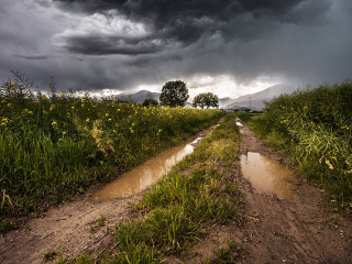 Ce nu este bine sa faci daca te prinde ploaia in camp