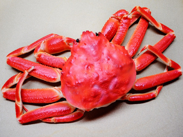 Crab