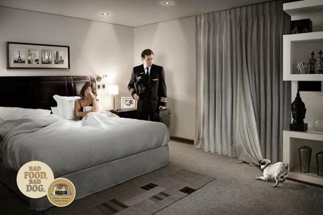 Cainele tau va incerca sa te tachineze daca nu ii dai hrana adecvata