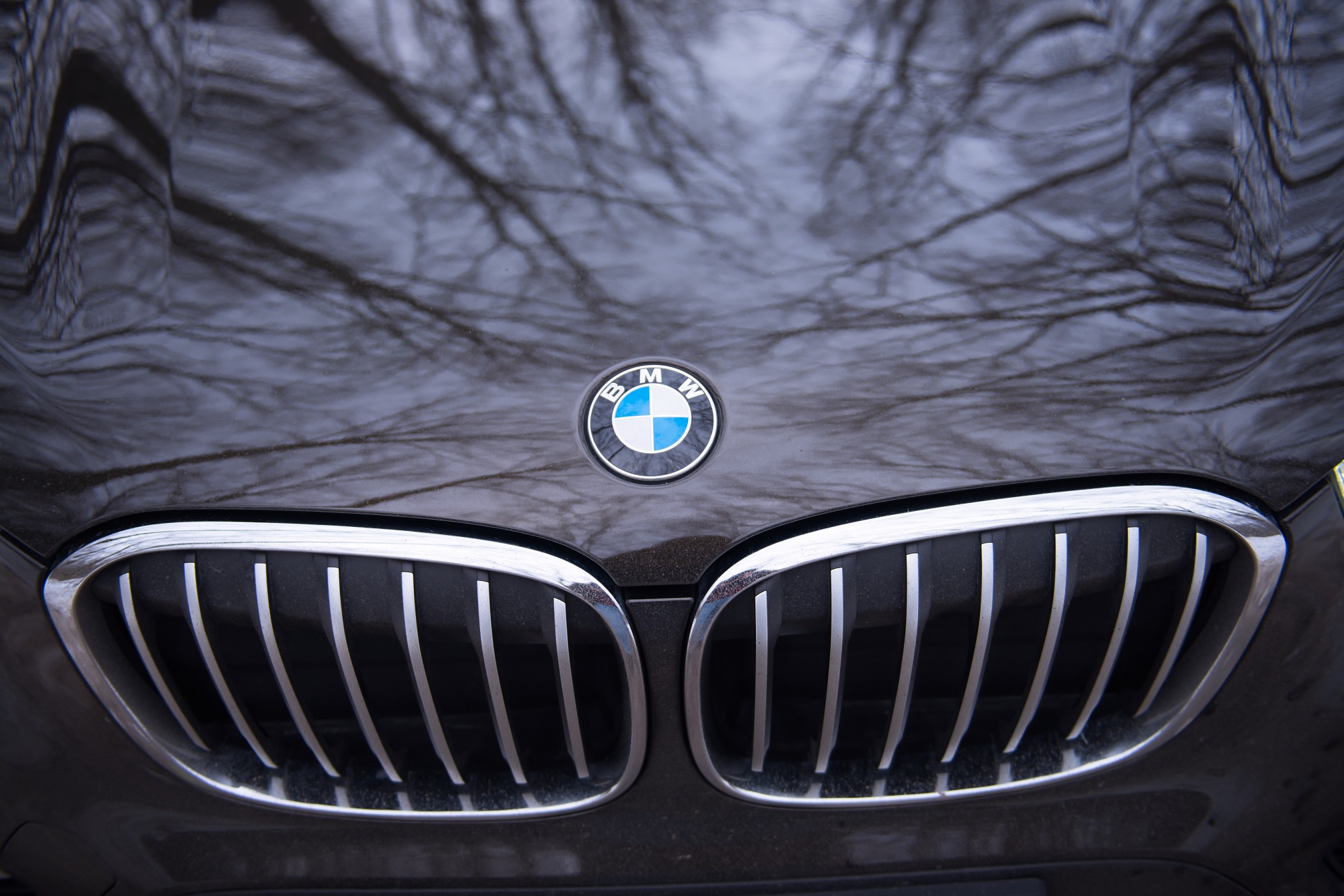 1. BMW a construit motoare pentru avioanele germane de lupta in timpul Primul Razboi Mondial