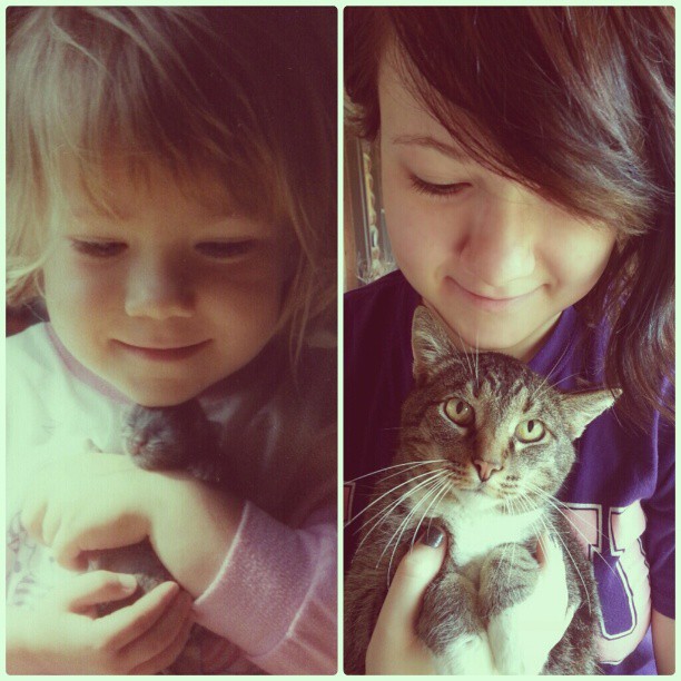 Si pisicile imbatranesc, nu-i asa?