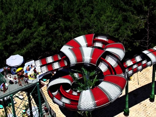 King Cobra – New Jersey, USA