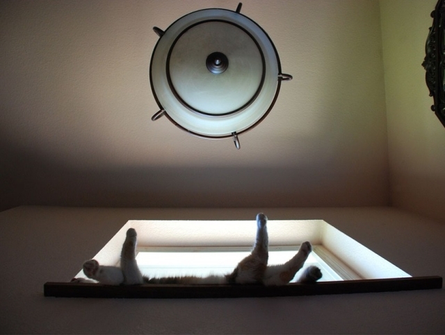 Nu se tem de inaltime