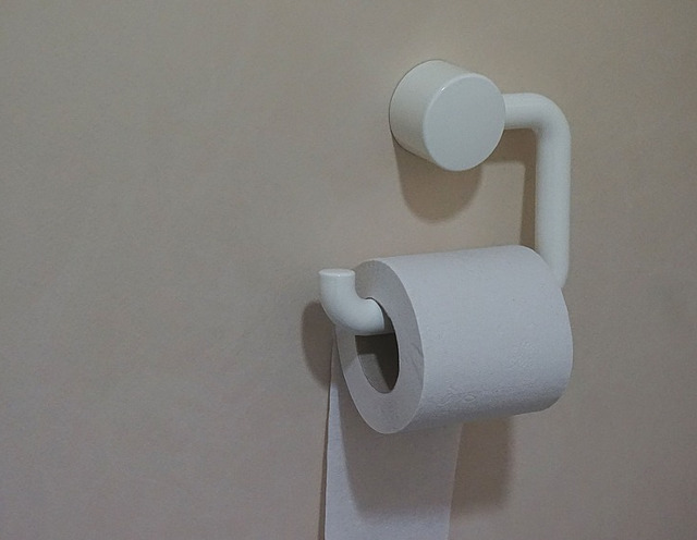 Hartia igienica trebuie sa stea intotdeauna...