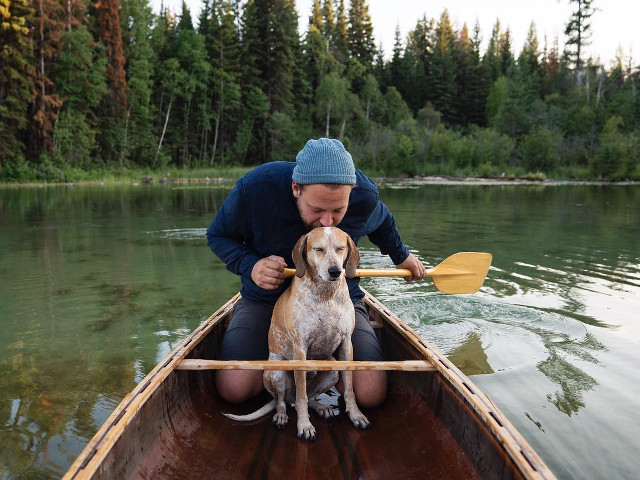10+ fotografii cu Maddie, catelusa care doarme in cele mai haioase pozitii
