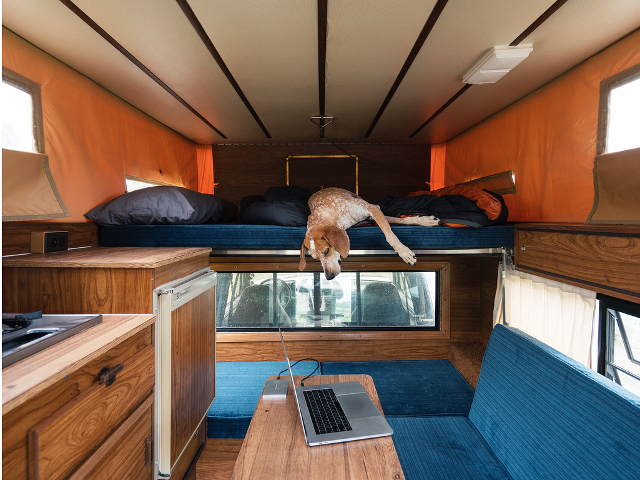 10+ fotografii cu Maddie, catelusa care doarme in cele mai haioase pozitii