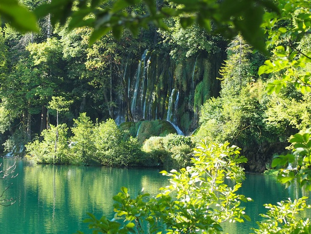 Nu degeaba a captat atentia naturalistilor inca de acum cateva sute de ani