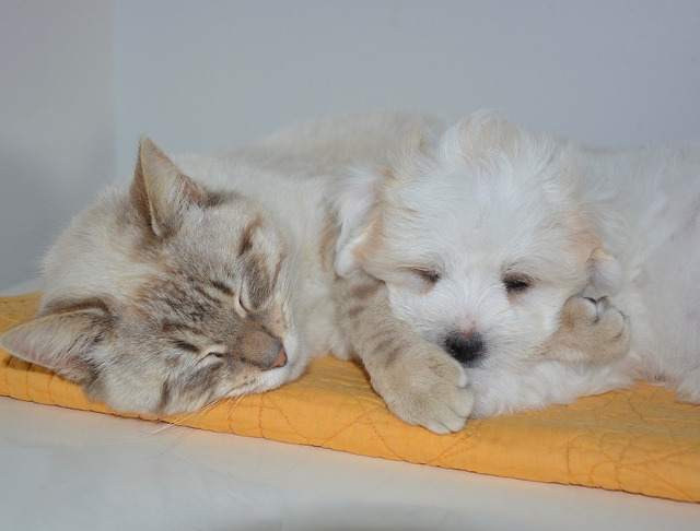 ...in orice imprejurare