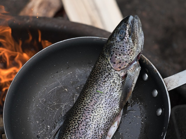 Ichthyophobia - Teama de pesti