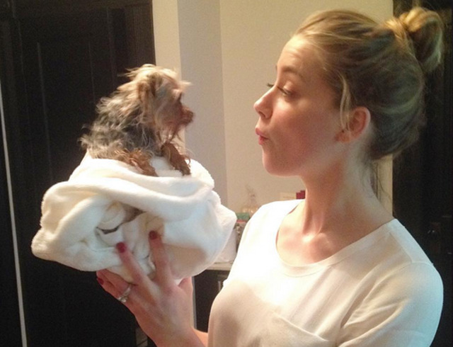 Amber Heard inocenta si iubitoare