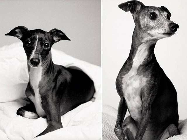 Audrey - la 3 ani si la 12 ani