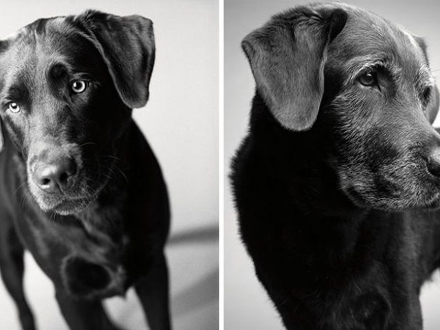 Corbet - la 2 ani si la 11 ani