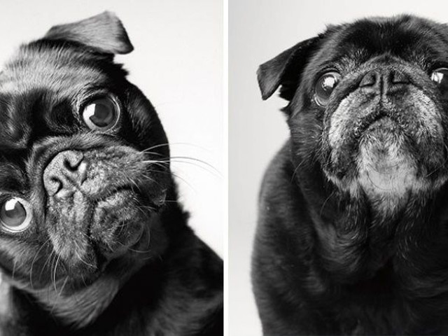 Fred - la 2 ani si la 10 ani