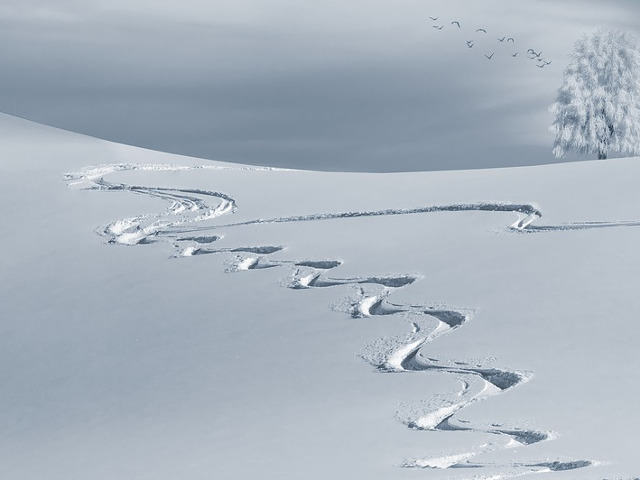 Zapada galbena nu este singura pe care nu ar trebui sa o mananci. Studiile arata ca si zapada alba poate fi nociva
