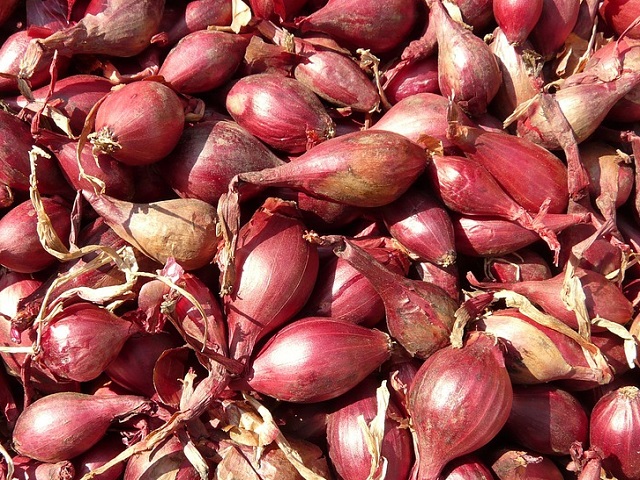 Planteaza sparanghel, praz, ceapa, morcovi, mazare si ridichi