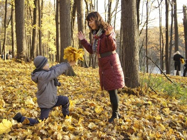 Fa o colectie de frunze colorate