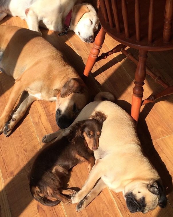 Toata lumea doarme la soare