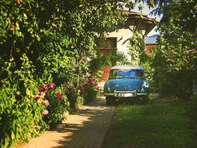 Masini cu personalitate din Bucuresti. 10 fotografii care iti vor insufla un aer istoric