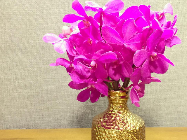 Petrecere cu culoare