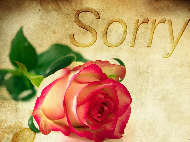 Stie cand sa-si ceara scuze