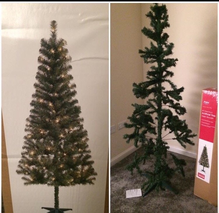 O, brad... saracacios!