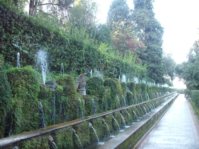 Alei pline de "viata"