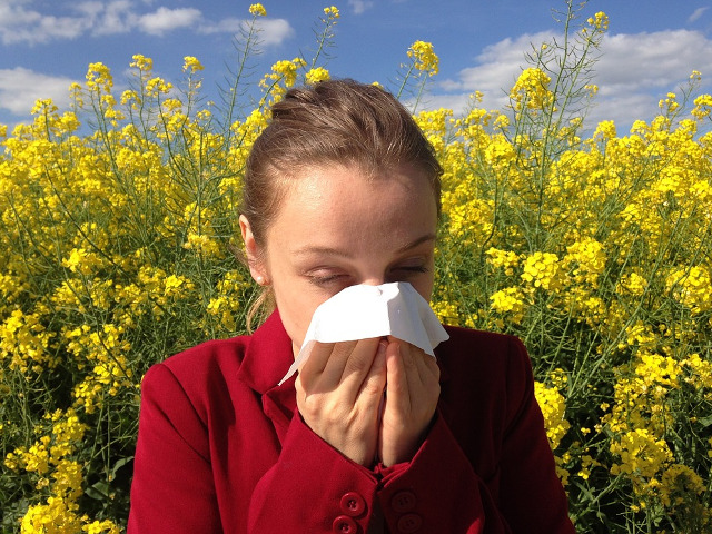 Previne alergiile