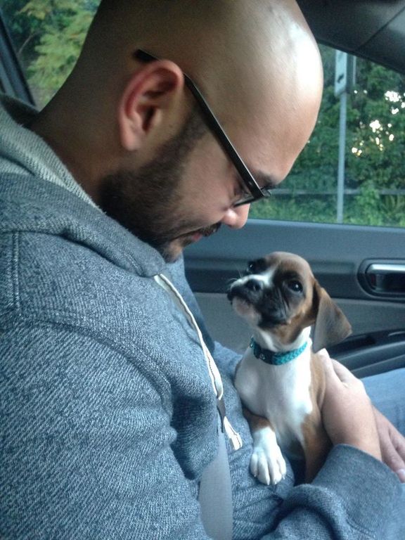 Catelusi care si-au cucerit stapanii instant