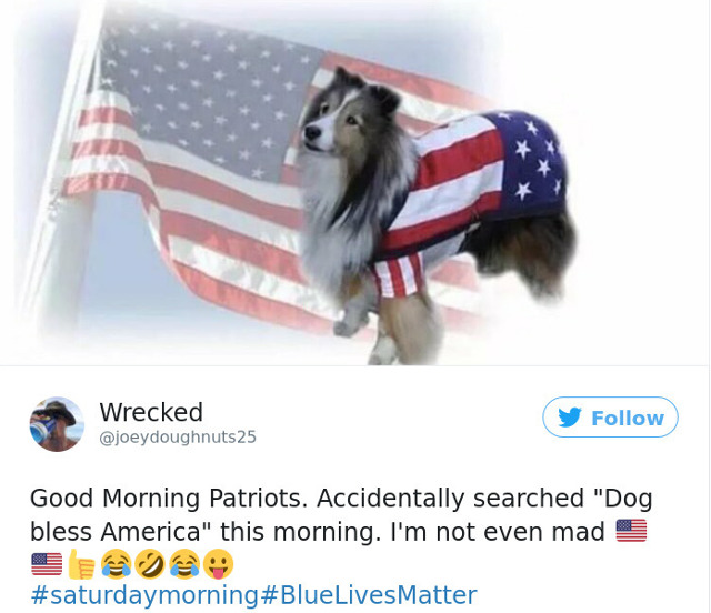 Rezultatele cautarii "Dog bless America"