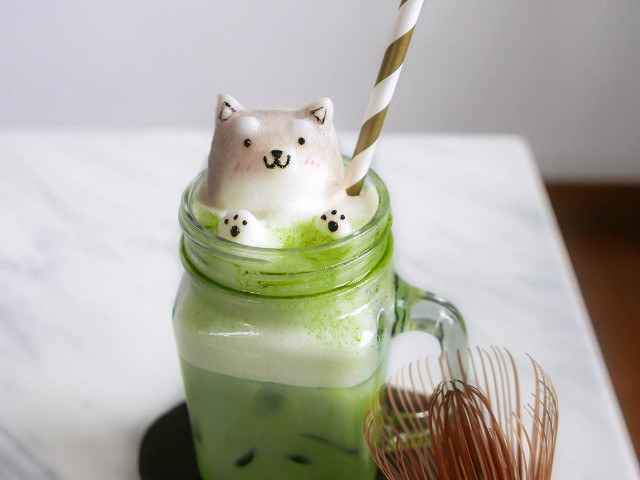 Pisicutele sunt la moda