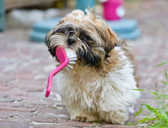 Chiar si atunci cand sunt neastamparate