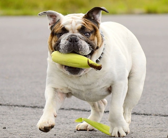 Se asigura ca au mereu ceea ce doresc...