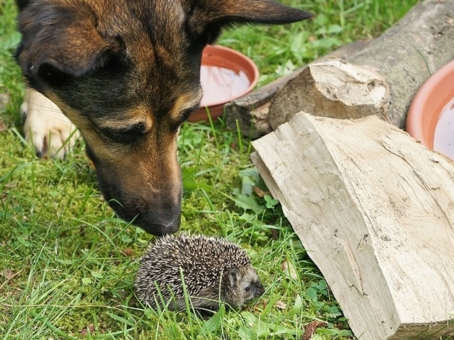 Exploreaza in permanenta