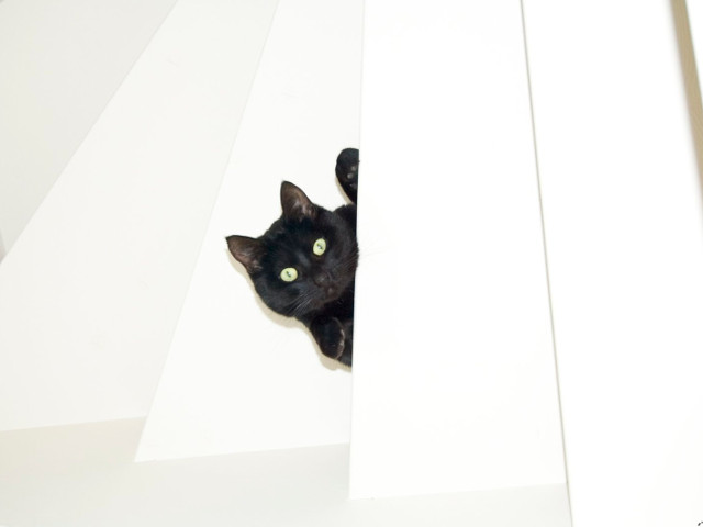 De-a v-ati ascunselea