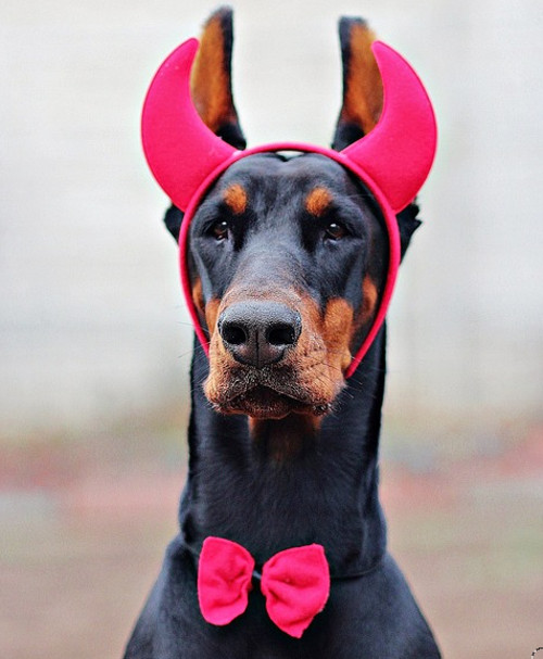 Imposibil sa nu atraga atentia...