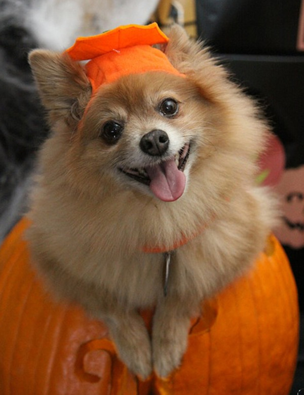 Uneori nu e nevoie de prea multe accesorii pentru a te incadra in peisaj