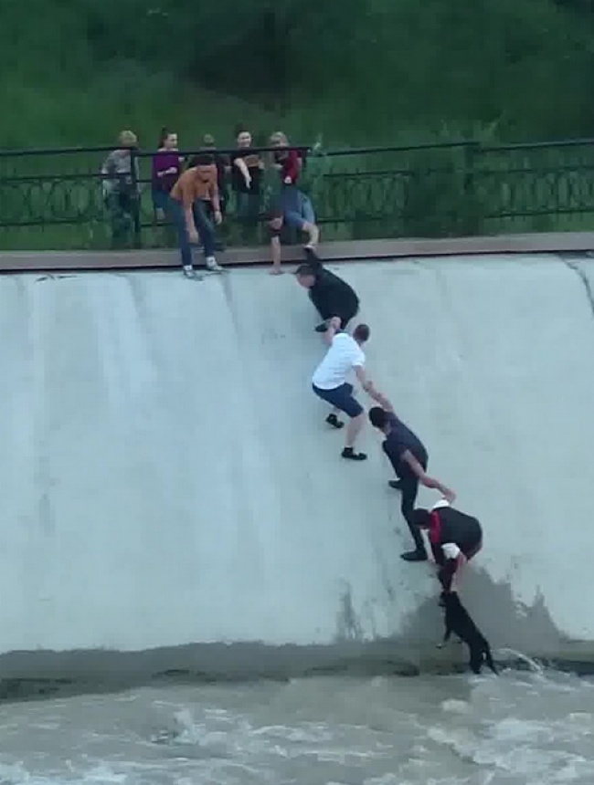 Un caine in pericol de a se ineca a fost salvat de cativa tineri, in Kazakhstan