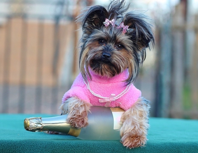 Stiu sa se bucure de viata...