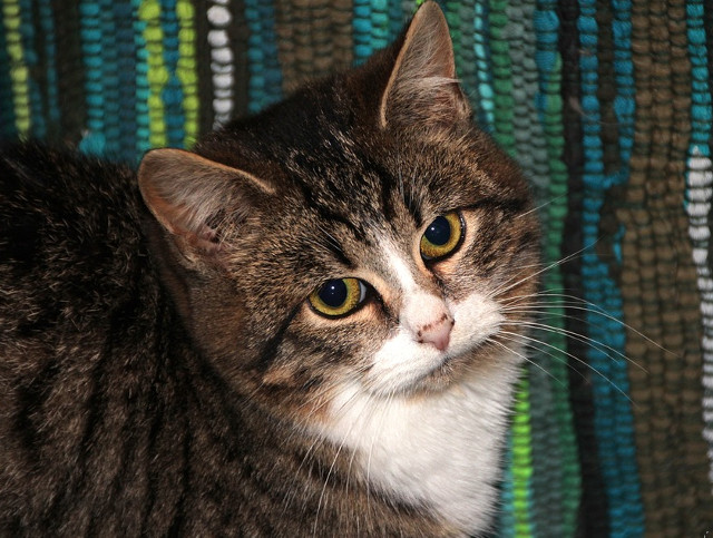 Cum sa nu o indragesti?