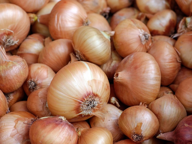 Grecia si Egiptul din Antichitate erau de parere ca ceapa functioneaza ca un test de sarcina