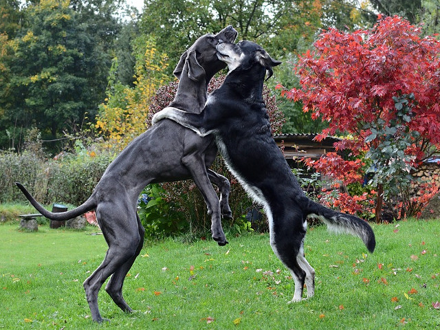 O imbratisare valoreaza cat o mie de cuvinte