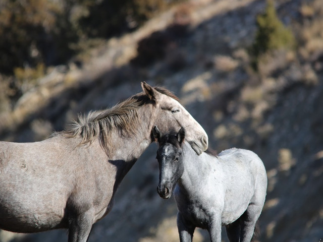 Creste senzatia de siguranta